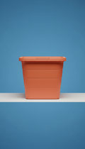 Collapsible Storage Bin with Handles